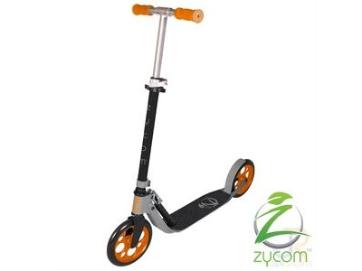 Zycom Easy Ride 200  Silver/Black  click to zoom image